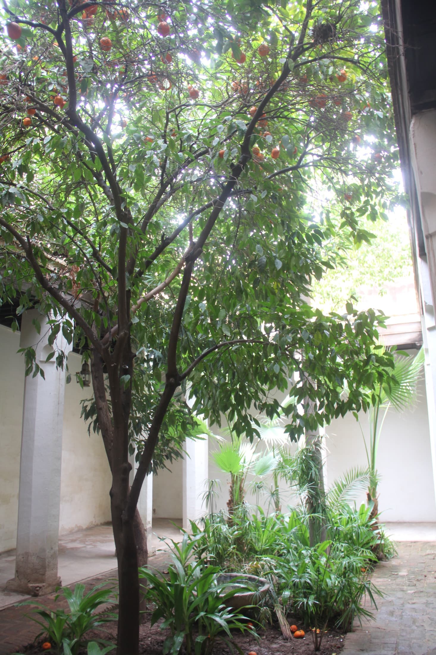 Small courtyard of Dar Si Said Museum